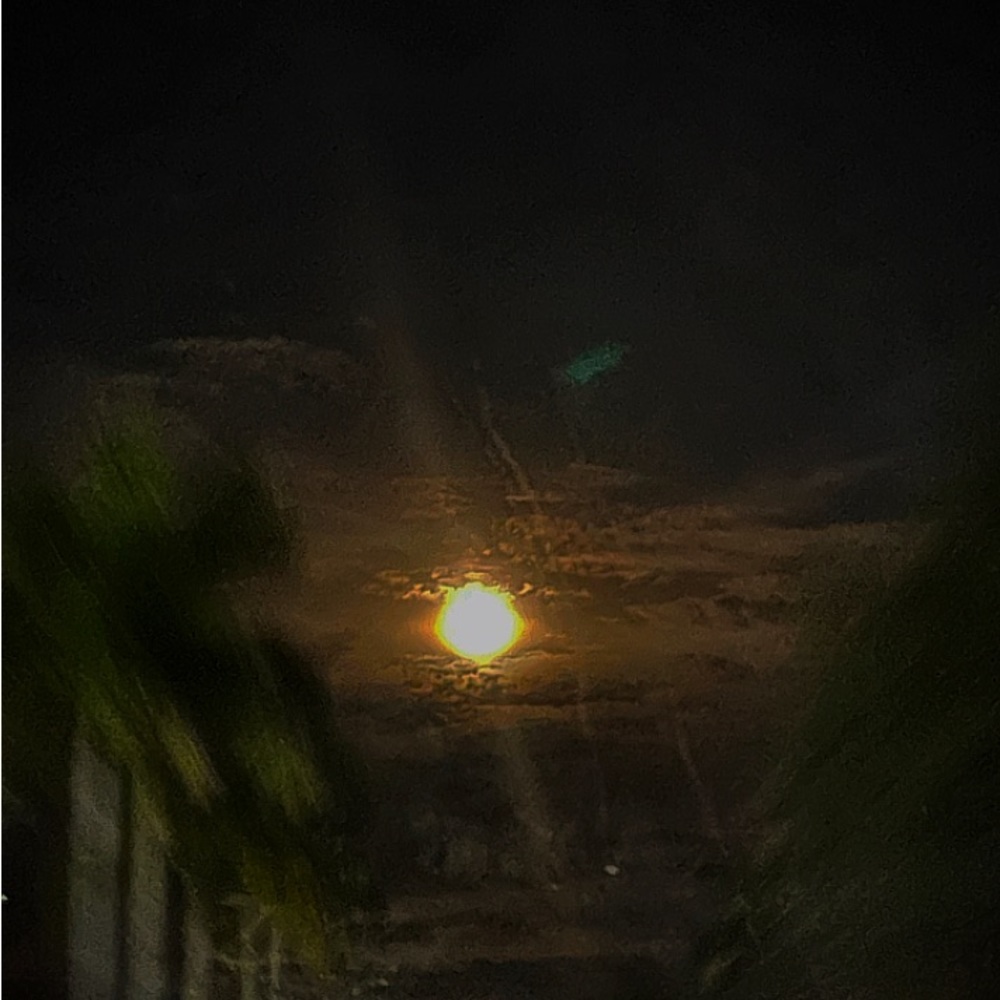 Meet your Posher, Kristy